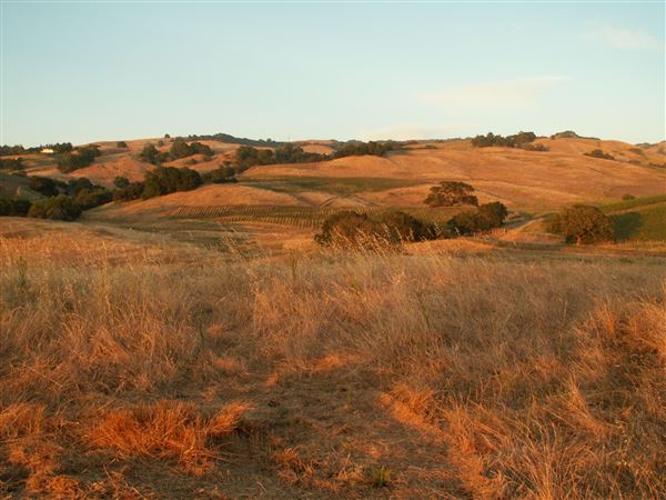 Crane Creek Regional Park (10/29/2024 - Credits: Sonoma County)