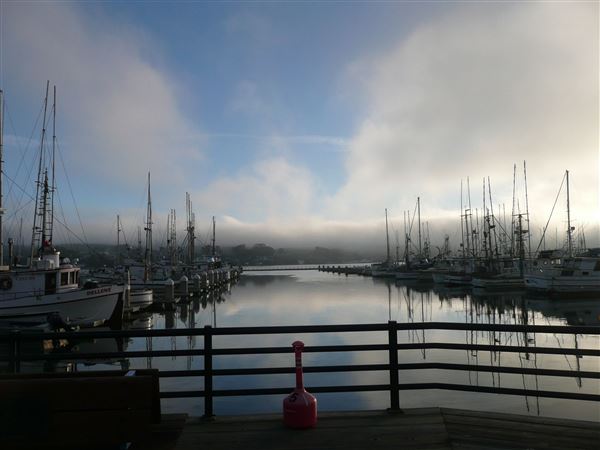 Spud Point Marina (10/29/2024 - Credits: Sonoma County)