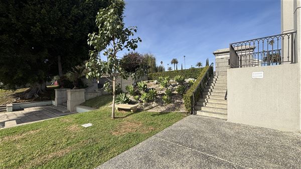 Hollywood Forever Cemetery (11/7/2024 - Credits: Brandy Davis)
