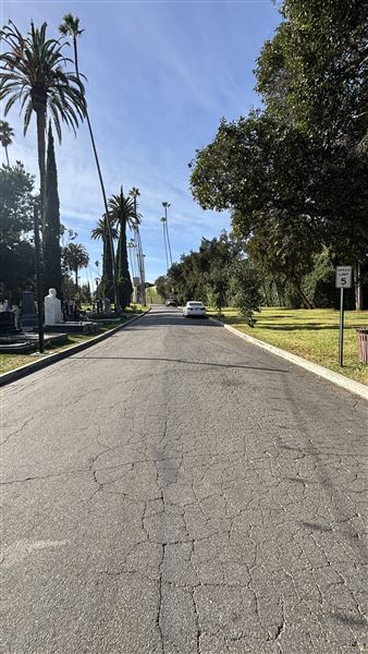 Hollywood Forever Cemetery (11/7/2024 - Credits: Brandy Davis)