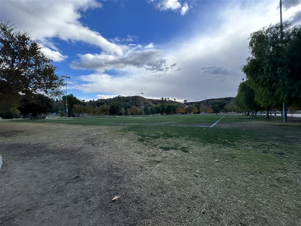 Central Park (11/15/2024 - Credits: Brandy Davis)