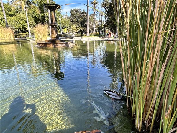 Will Rogers Memorial Park (12/16/2024 - Credits: Brandy Davis)