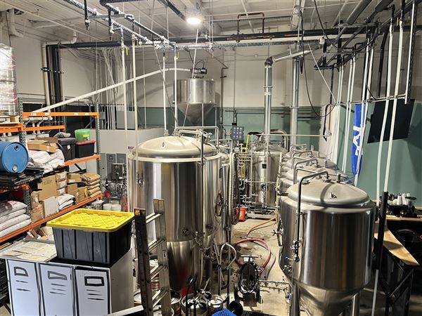 Brown Soul Brewing Co. (2/3/2025)