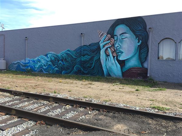 Fort Bragg (10/8/2019 - Credits: Kellen Lim)