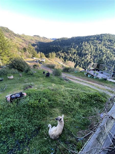Long Creek Ranch (3/5/2025 - Credits: The Larsen Family)
