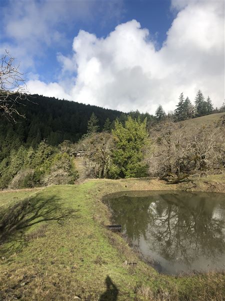 Long Creek Ranch (3/5/2025 - Credits: The Larsen Family)