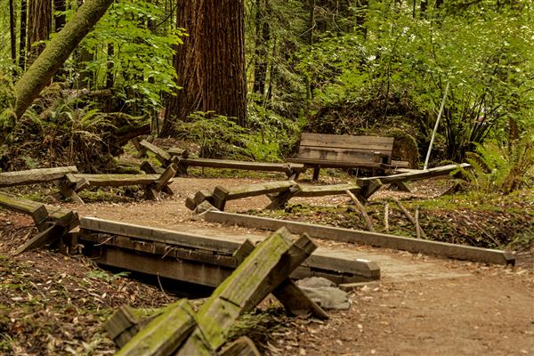 Armstrong Redwoods State Natural Reserve (SNR) (5/26/2015 - Credits: Brian Baer)