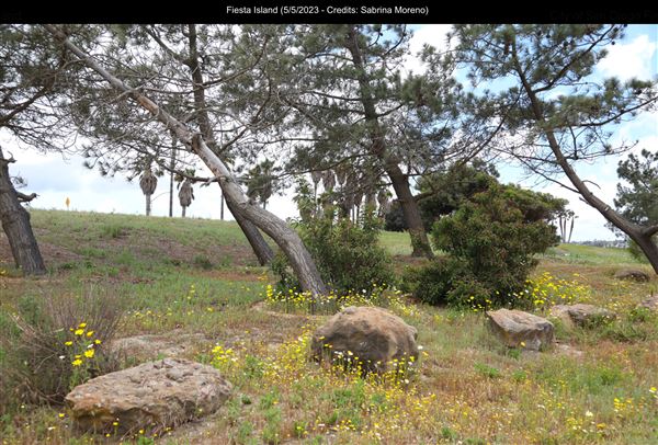 Fiesta Island (5/5/2023 - Credits: Sabrina Moreno)