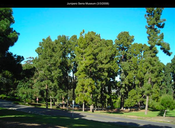 Junipero Serra Museum (3/3/2008 - Credits: San Diego Film Commision)