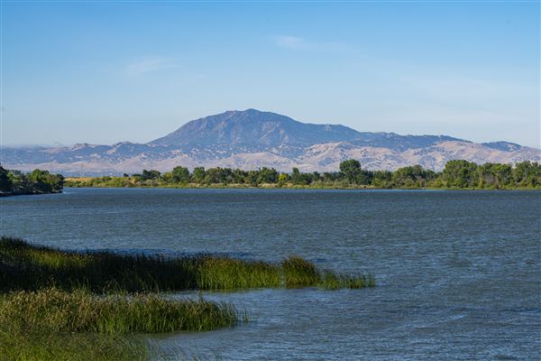 Brannan Island State Recreation Area (SRA) (7/1/2019 - Credits: Brian Baer)