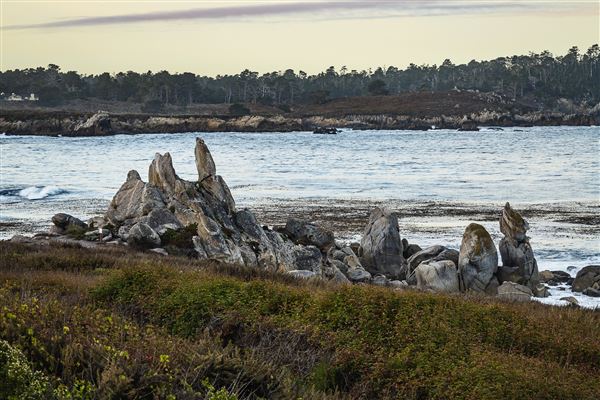 Carmel River State Beach (SB) (10/16/2024 - Credits: Brian Baer)