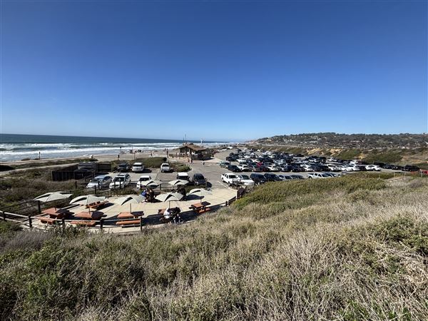 Torrey Pines State Beach (SB) (3/8/2025 - Credits: Brandy Davis)