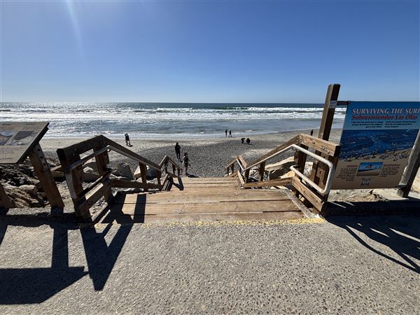 Torrey Pines State Beach (SB) (3/8/2025 - Credits: Brandy Davis)