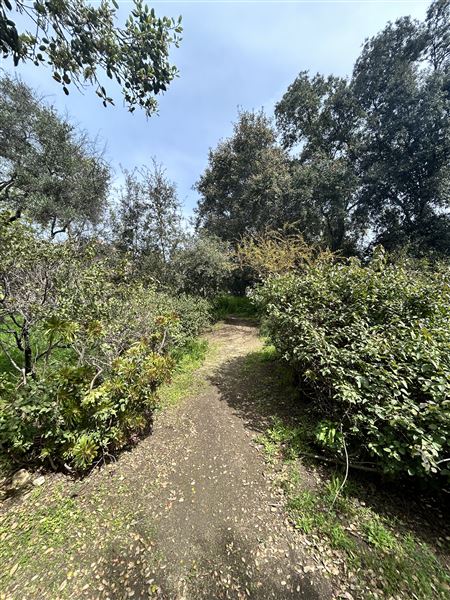 Lummis Home and Gardens (3/17/2025 - Credits: Brandy Davis)