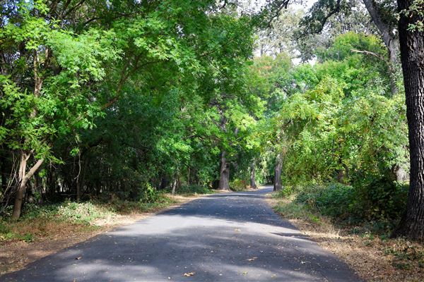 One Mile Recreation Area (AKA Sycamore Pool) (10/30/2024 - Credits: Chico Area Recreation & Park District)