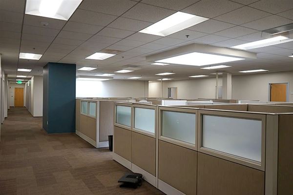 Lemon Labs (12/12/2023 - Credits: David Merabi)