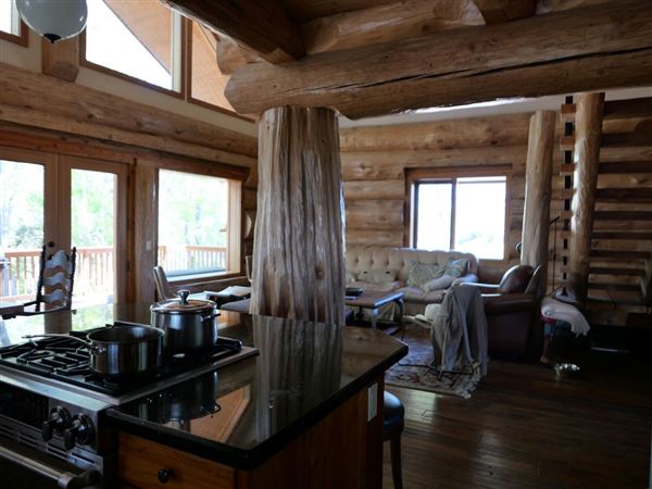 Log Cabin (3/4/2025 - Credits: Dave Mortell)