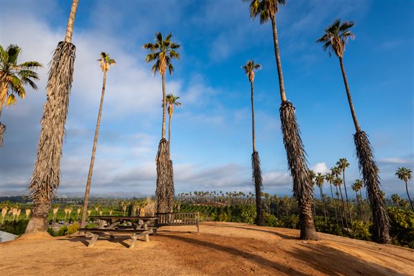 California Citrus State Historic Park (SHP) (3/20/2022 - Credits: Brian Baer)