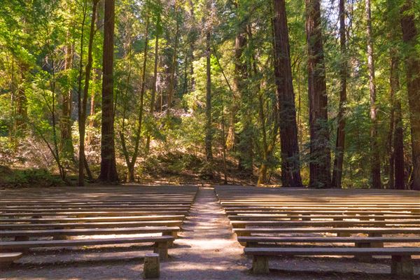 Armstrong Redwoods State Natural Reserve (SNR) (4/17/2025 - Credits: Mariah Harkey)