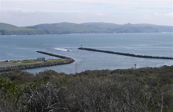 Bodega Bay (4/18/2025 - Credits: Photo Courtesy of Sonoma County)