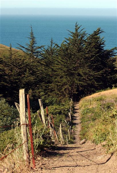 Bodega Bay - Shorttail Gulch Coast Access Trail - Bodega Bay (4/18/2025 - Credits: Photo Courtesy of Sonoma County)