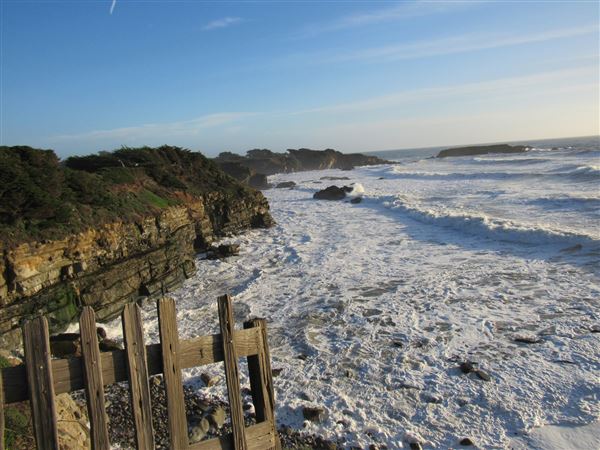 Gualala Point Regional Park (4/21/2025 - Credits: Photo Courtesy of Sonoma County)
