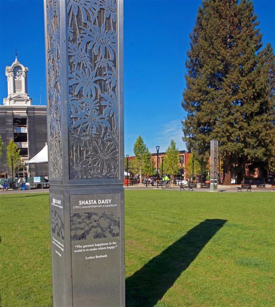 City of Santa Rosa - Courthouse Square (4/23/2025 - Credits: Al Mueller)