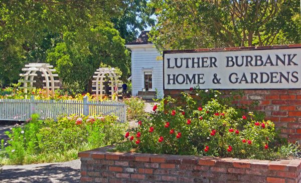 City of Santa Rosa - Luther Burbank Home and Gardens (4/23/2025 - Credits: Al Mueller)
