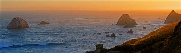 Sonoma Coast State Park (SP) - Fish Head Beach - Sonoma Coast State Park (4/24/2025 - Credits: Al Mueller)