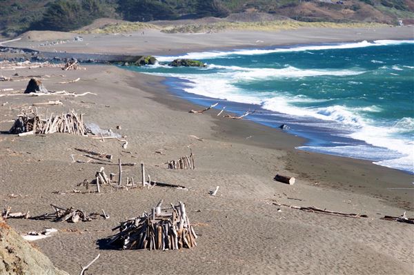 Sonoma Coast State Park (SP) - Jenner Beach - Sonoma Coast State Park (4/24/2025 - Credits: Al Mueller)