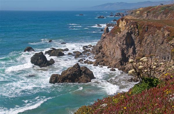 Sonoma Coast State Park (SP) - Miwok Beach - Sonoma Coast State Park (4/24/2025 - Credits: Al Mueller)