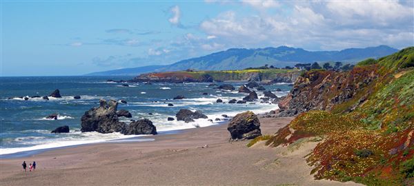 Sonoma Coast State Park (SP) - Portuguese Beach - Sonoma Coast State Park (4/24/2025 - Credits: Al Mueller)