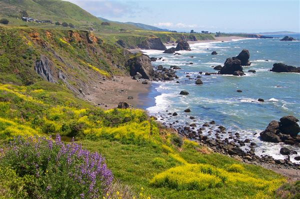 Sonoma Coast State Park (SP) - Shell Beach - Sonoma Coast State Park (4/24/2025 - Credits: Al Mueller)