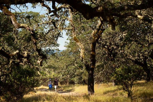 Windsor - Foothill Regional Park (4/25/2025 - Credits: Photo Courtesy of Sonoma County)