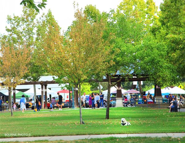 Windsor (4/25/2025 - Credits: Barbara Bourne)