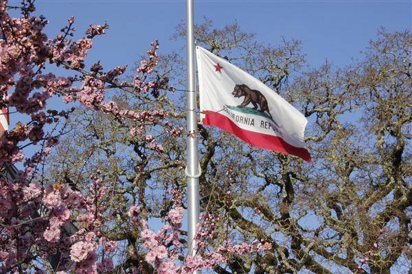 Windsor (4/25/2025 - Credits: Photo Courtesy of Sonoma County)
