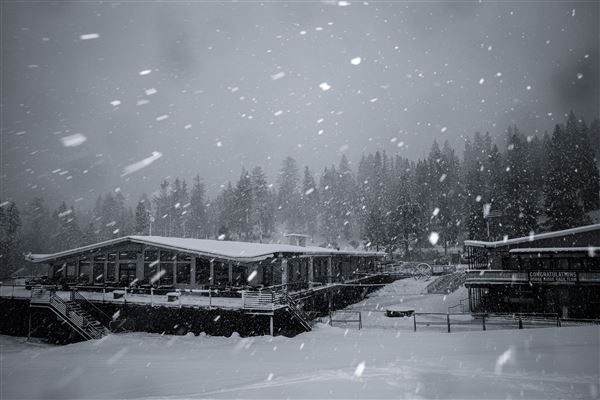 Dodge Ridge Mountain Resort (5/28/2025 - Credits: Dodge Ridge Mountain Resort)