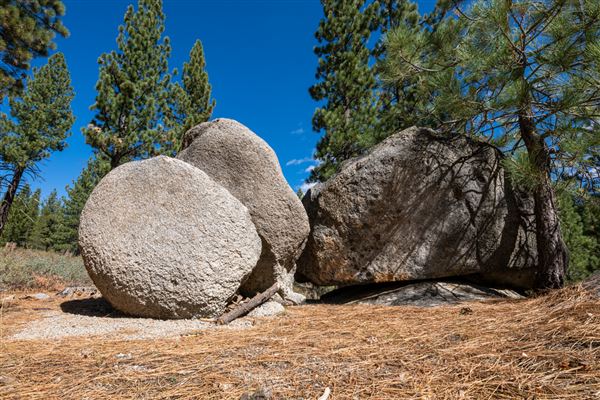 Washoe Meadows State Park (SP) (10/4/2024 - Credits: Brian Baer)