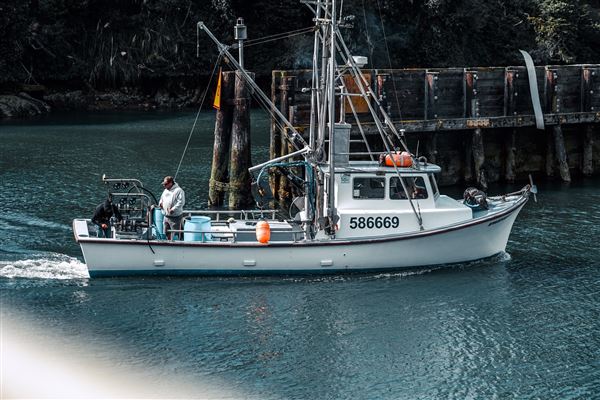 Noyo Harbor District (6/13/2025 - Credits: Photo Courtesy of Noyo Harbor District)