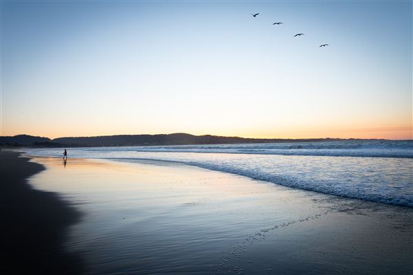 Sand City Beach / Eolian Dunes Preserve (4/8/2025 - Credits: Ian Martin Photography)