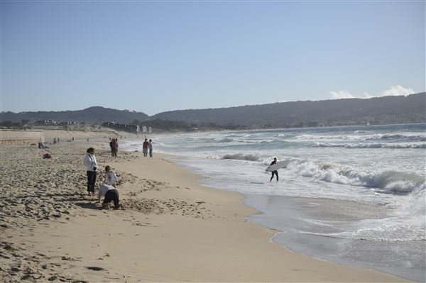 Sand City Beach / Eolian Dunes Preserve (6/18/2025 - Credits: SeeMonterey.com)