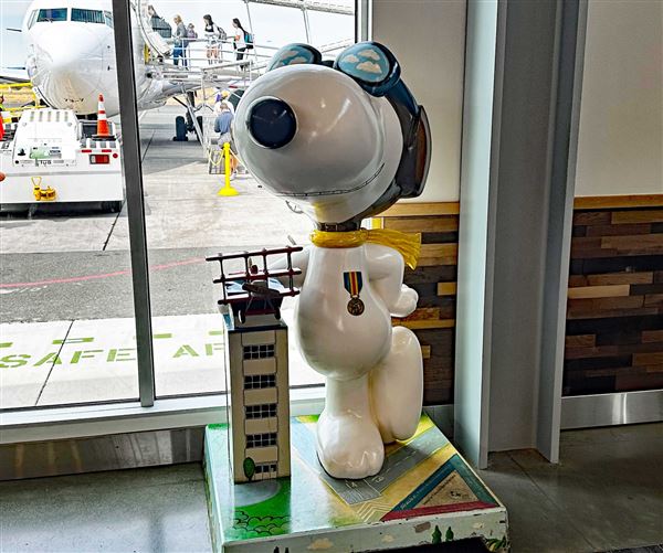 Charles M. Schulz Sonoma County Airport (6/30/2025 - Credits: Photo Courtesy of Sonoma County)