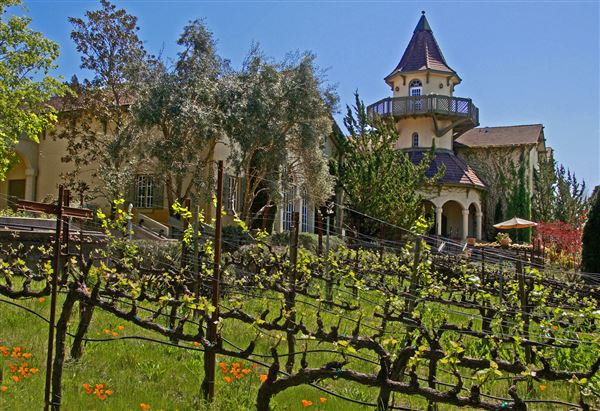 Chateau St. Jean Winery (6/30/2025 - Credits: Al Mueller)