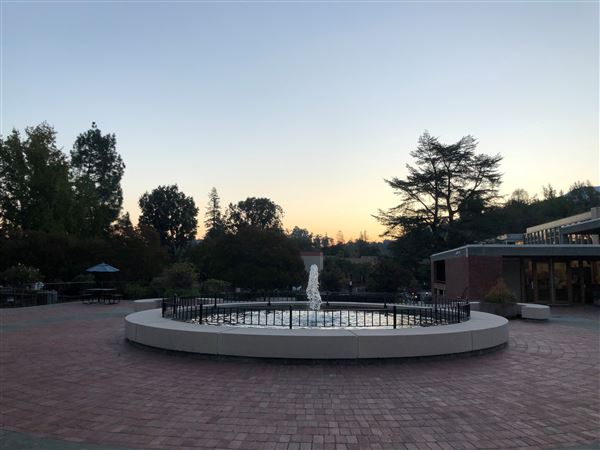 Los Gatos - Civic Center Fountain at Sunrise (7/8/2025 - Credits: Town of Los Gatos)