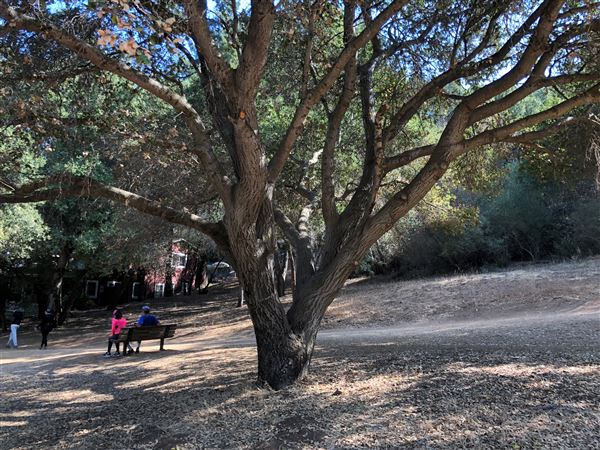 Los Gatos - Novitiate Park (7/8/2025 - Credits: Town of Los Gatos)