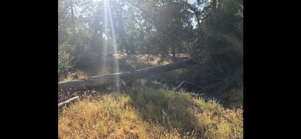 40.4486657, -122.0552620 (7/20/2025 - Credits: Tyler patric)