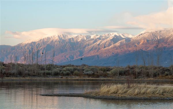 Bishop (7/25/2025 - Credits: Visit USA Parks)