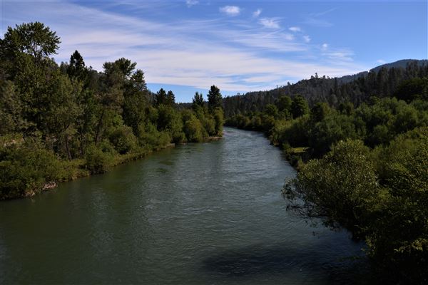 Trinity River (7/28/2025 - Credits: U.S. Bureau of Reclamation)