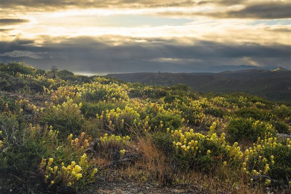 Fort Ord National Monument (6/16/2023 - Credits: Jesse Pluim, BLM, Public Domain)