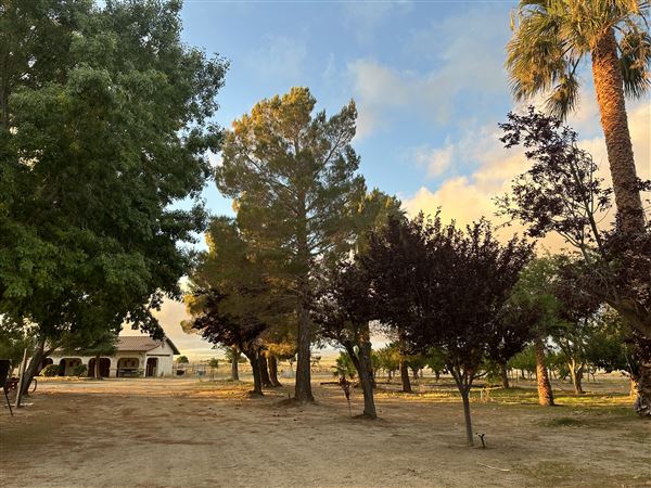 Skyotee Ranch (8/1/2025 - Credits: submitted by: JULES MARCOGLIESE)
